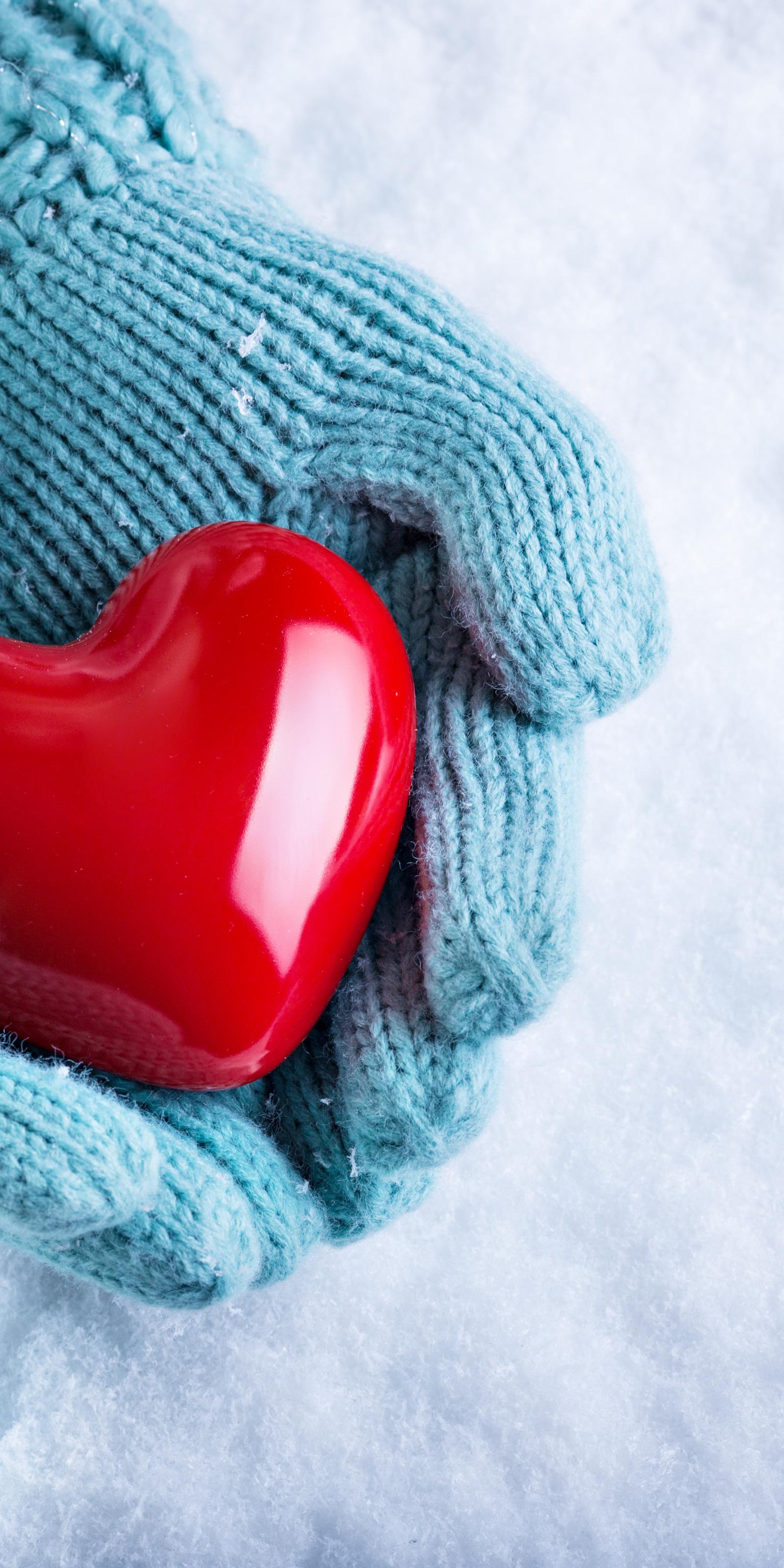 Sydney Gardeners Master Winter Care With These 5 Essential Steps